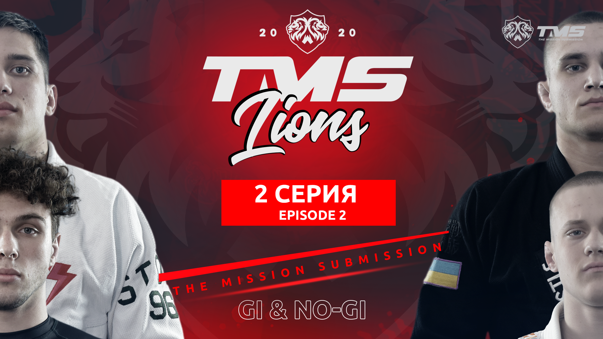 ���� ������ ���������: ��� ����? ����� TMS� �������� ��������� �����!