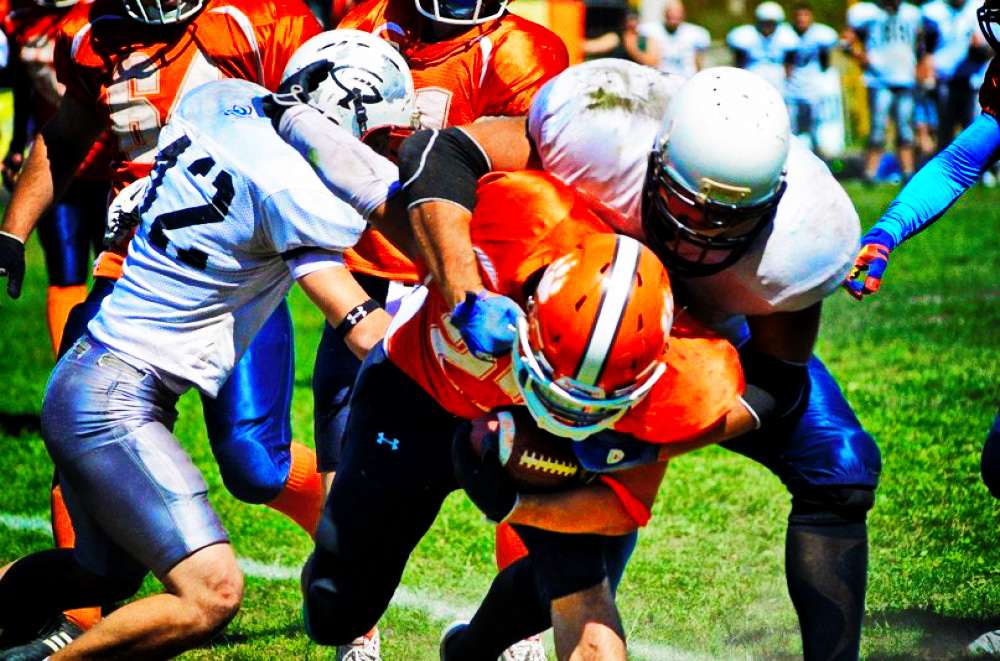 ������������ ������ ��������� �� ����! �������� ������ ����������