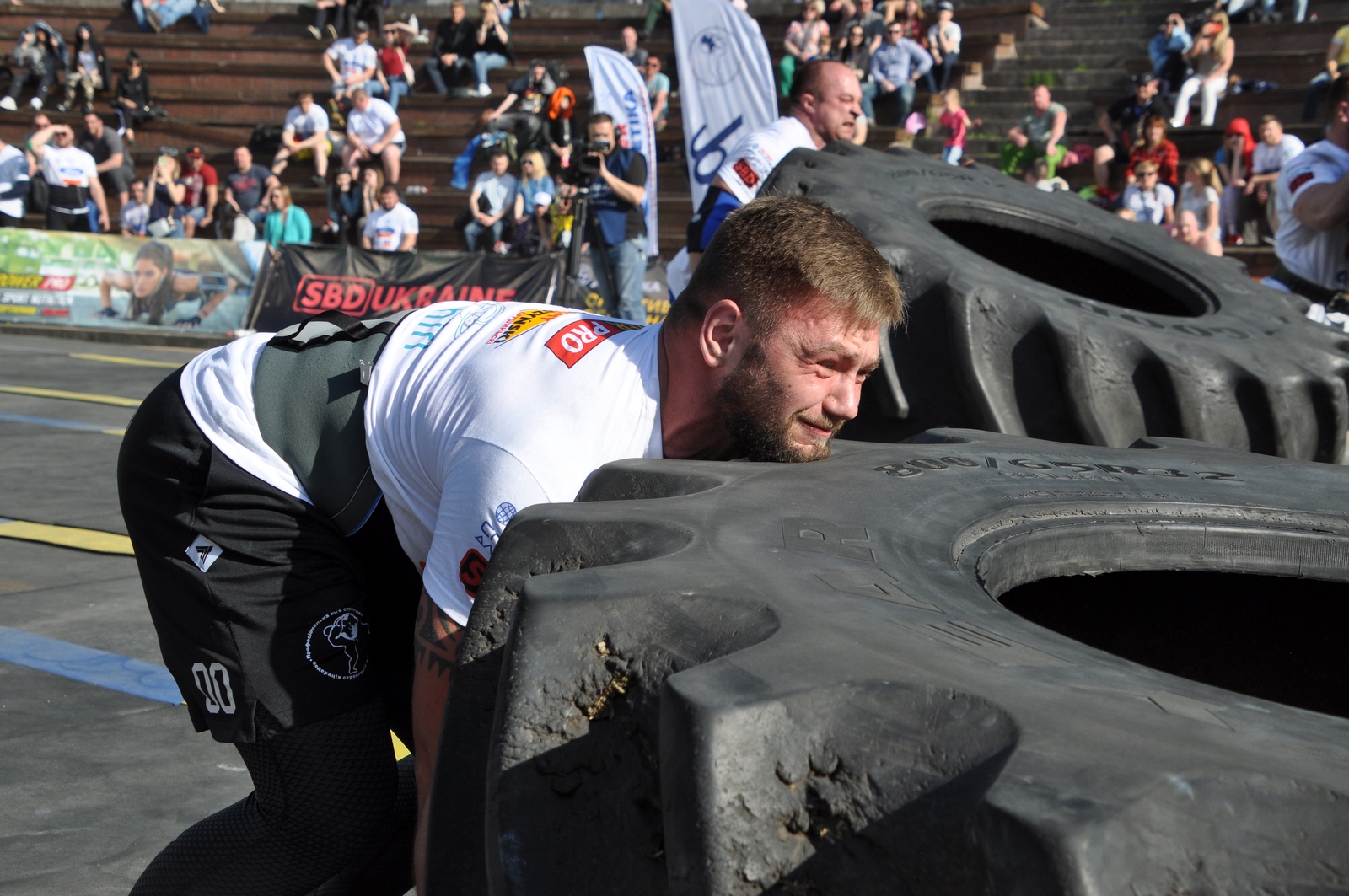 ������� ����� �� �����. ��������� ������� �� ����������