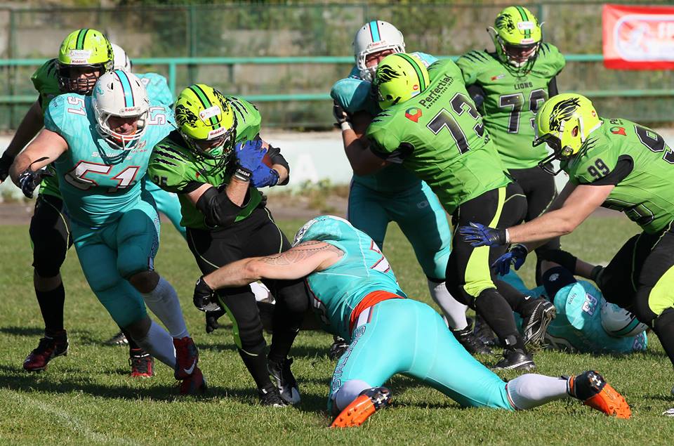 ������������ ������ �� �����! ����� �����������: ������ ������ ����������